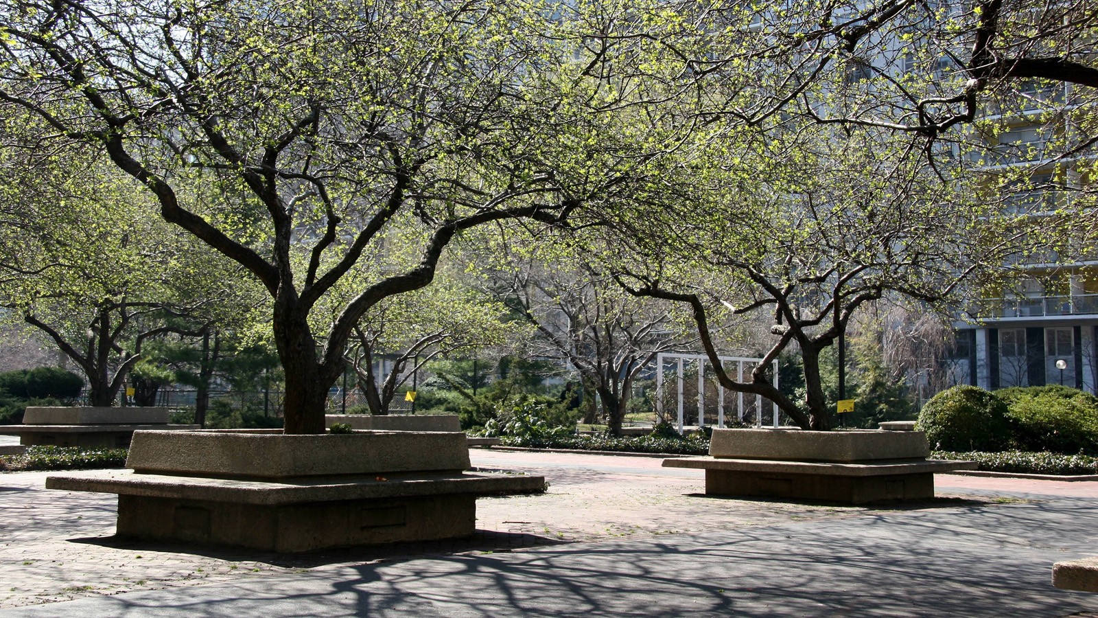 WashingtonSquareVillage_feature_HubertJSteed_2006_01.jpg Photo by Hubert J. Steed