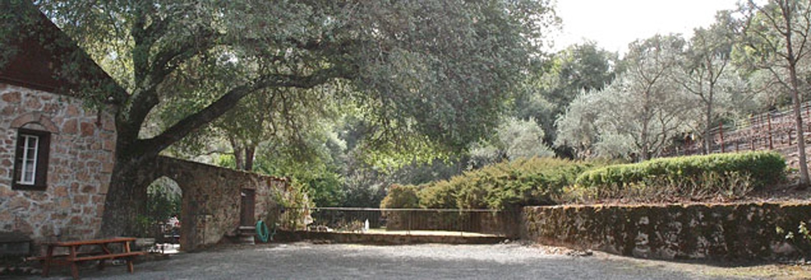 WilliamColeVineyard_PamAnela-banner-1600.jpg William Cole Vineyard