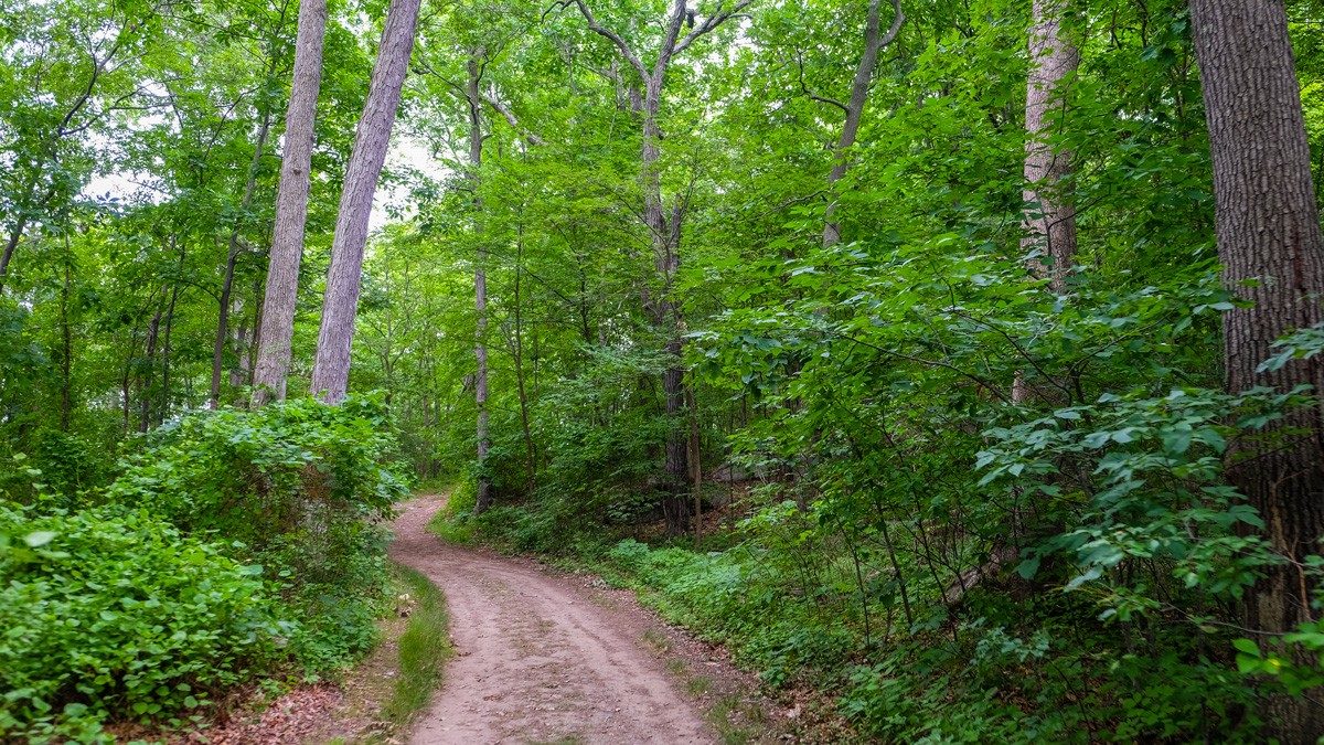 World's End in Hingham, Mass., Defines Scenic Beauty Near