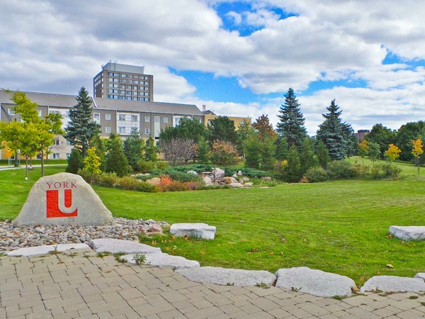 images york university