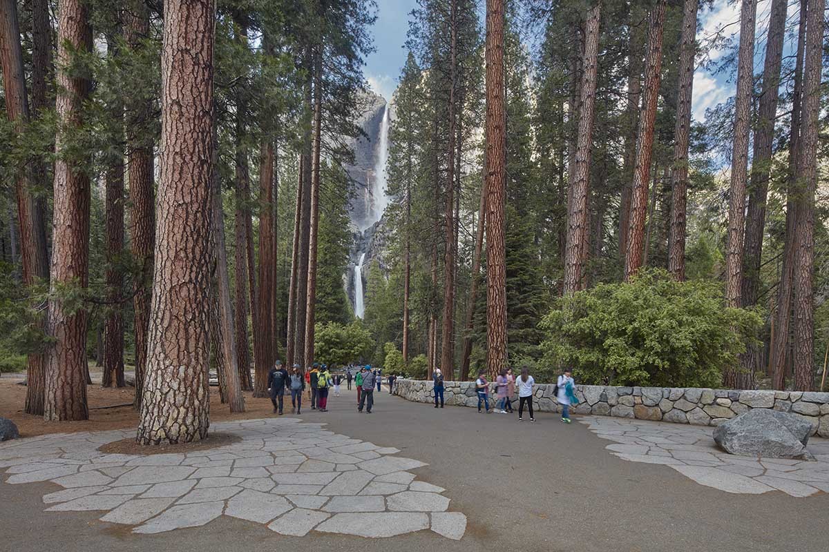 Yosemite Falls Corridor, Yosemite, CA, 2016. 