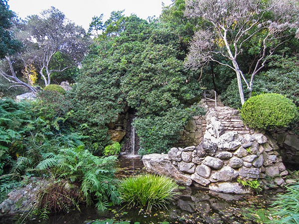 Zilker Botanical Garden | TCLF