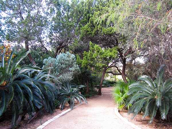 Zilker Botanical Garden | TCLF