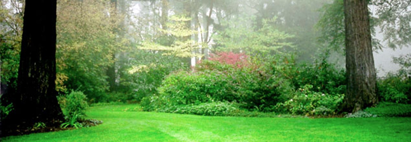 dunn_banner-1600.jpg