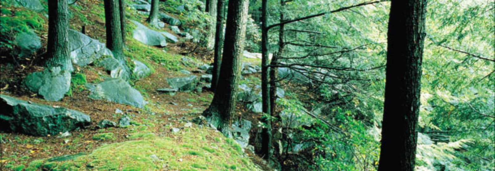 manitoga-banner-1600.jpg