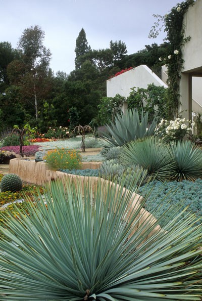 Valentine garden, Santa Barbara, California. Descending terraces with plants of unusual forms.