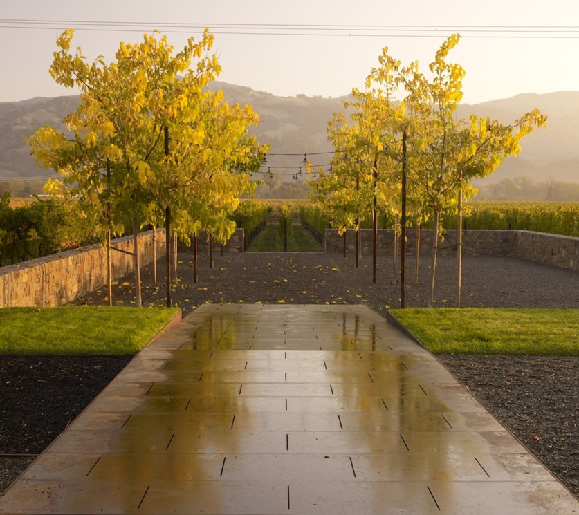 Garden Dialogues 2023: Geyserville, CA | TCLF Garden Dialogues 2023: Geyserville, CA | TCLF