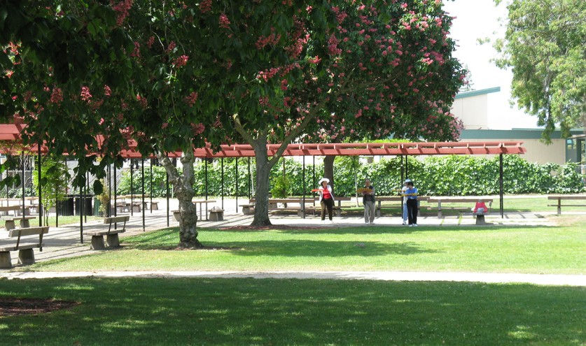Thomas Mitchell Park Loop