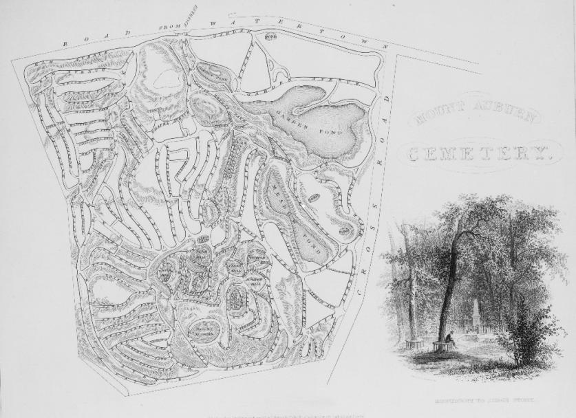 2_MtAuburnMap.jpg Map of Mount Auburn Cemetery illustrating the curvilinear circulation system and natural features.