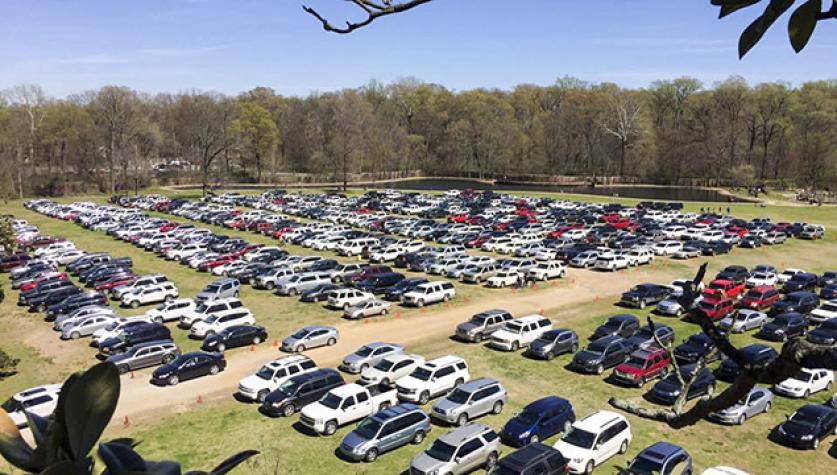 20160411_Overton04-crop.jpg Overton Park - Photo by David Lindsey courtesy of Citizens to Preserve Overton Park