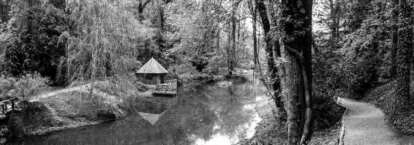 Item #196: Bass Pond, Biltmore. Photograph by Alan Ward, 2022.