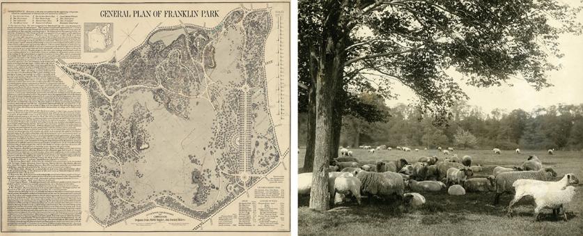 3-FranklinPark_PlanAndSheep_001_crop.jpg Plan of Franklin Park, Boston, MA (left) and photo of sheep in Franklin Park ca. 1903