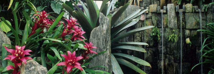 8512_Cascade_Garden_Albee_Larry-banner.jpg Cascade Garden at Longwood Gardens, Kennett Square, PA