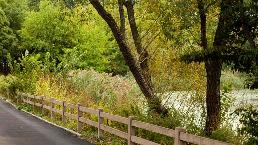 AlleyPondPark_feature1_cNYCParksRec.jpg Alley Pond Park, Queens, NY