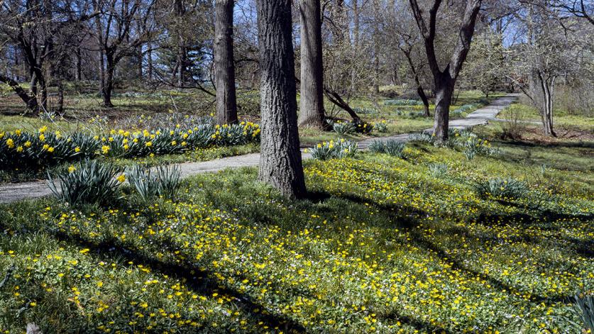 Bartram's Garden, Philadelphia, PA