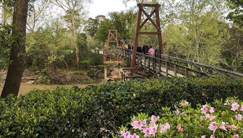 BayouBend.jpg Bayou Bend, Houston, TX