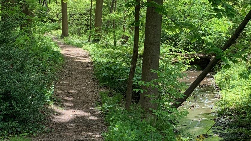 Pathway below the lower pond, Bellevue Park, PA