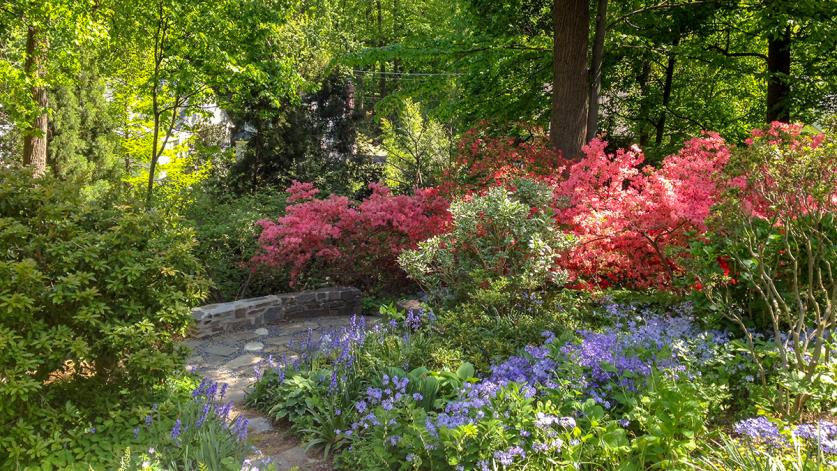 Boasberg Garden, designed by Sally Boasberg