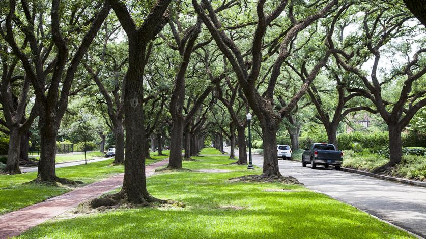 BroadacresHistoricDistrict1_BarrettDoherty2014.jpg Broadacres Historic District, Houston, TX
