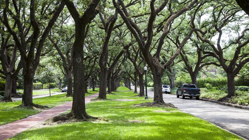 Broadacres Historic District, Houston, TX