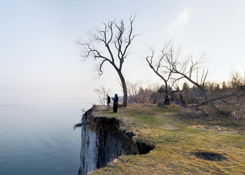 Scarborough Bluffs Park from the book "An Enduring Wilderness: Toronto’s Natural Parklands"