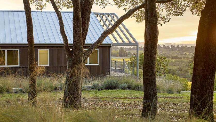 Where Agriculture Meets Coastal Woodlands, Sebastopol, CA