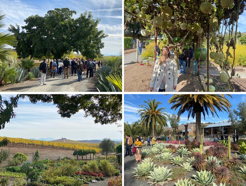 CA_Hudson_byCharlesABirnbaum_2022_001-collage.jpg Hudson, Sonoma, CA