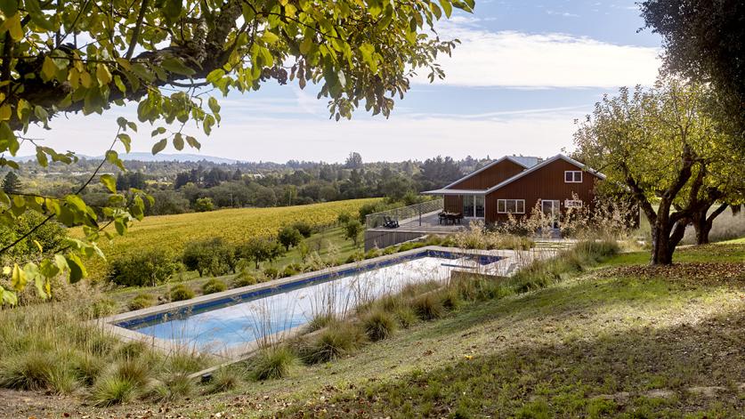 Where Agriculture Meets Coastal Woodlands, Sebastopol, CA