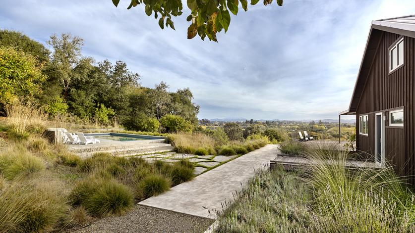 Where Agriculture Meets Coastal Woodlands, Sebastopol, CA