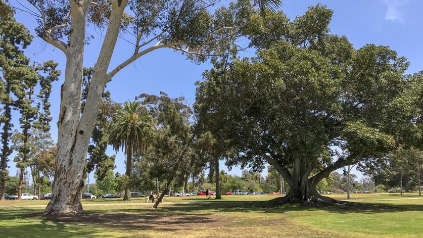 Balboa Park, San Diego, CA