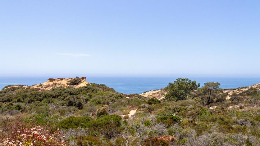 Torrey Pines State Natural Reserve, San Diego, CA