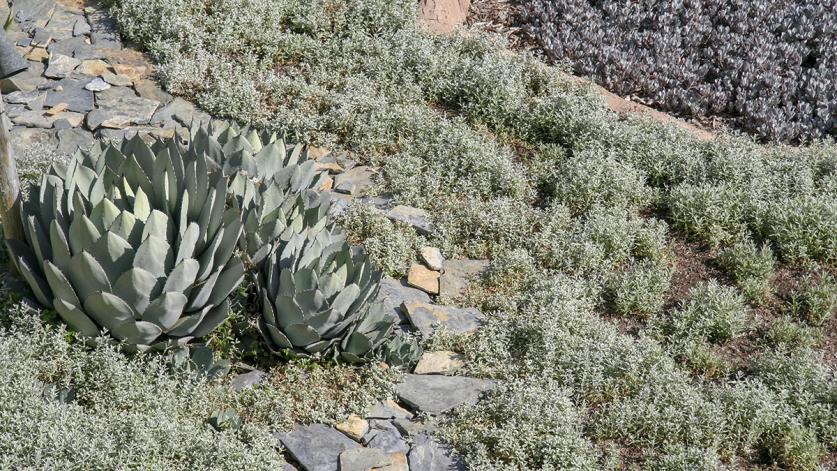 CA_SantaBarbara_CarolValentineGarden_bybrewbooks_2016_002.jpg Greene’s famous palette consists of gray-greens, grays, and silver