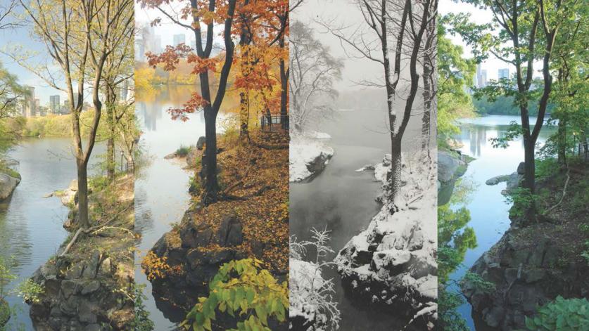 CentralPark_FourSeasons_feature.jpg Central Park in four seasons