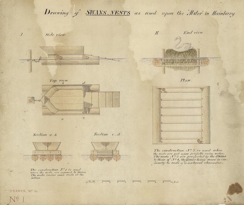 CentralPark_p119-crop.jpg Designs for swans’ nests, ca. 1860.