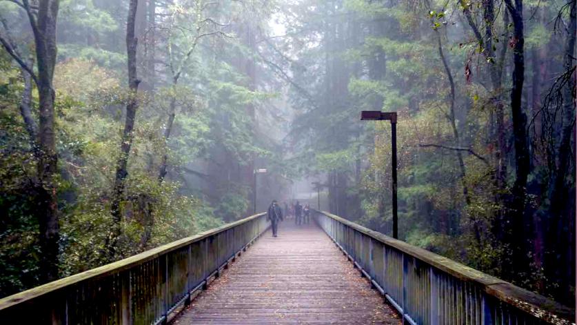 University of California - Santa Cruz, Santa Cruz, CA