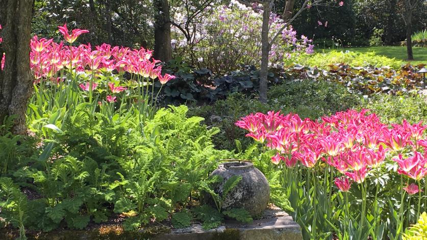 Bethesda, MD Garden Dialogue with Sandy Clinton