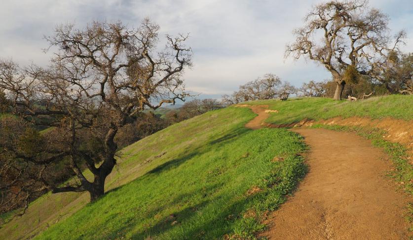 Coyote Valley