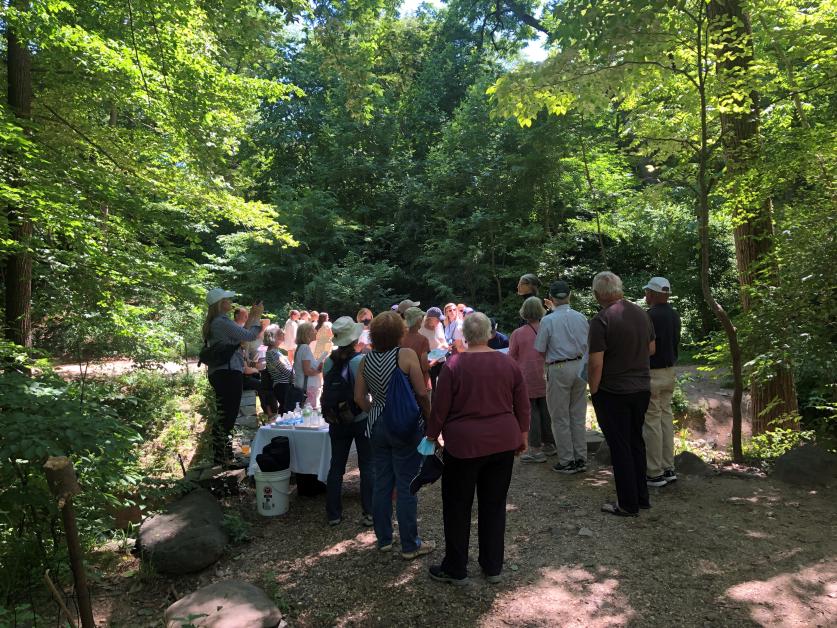 Tour of Dumbarton Oaks Park led by Liza Gilbert and Lindsey Milstein