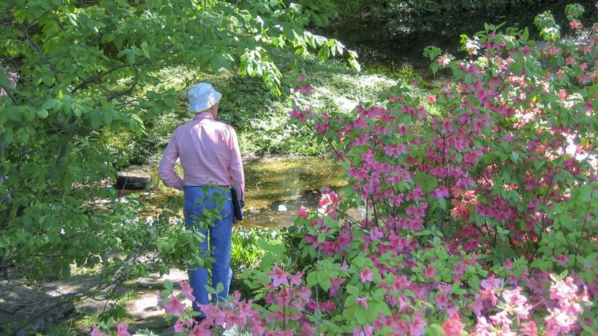 Bill Frederick at Ashland Hollow, Wilmington, DE