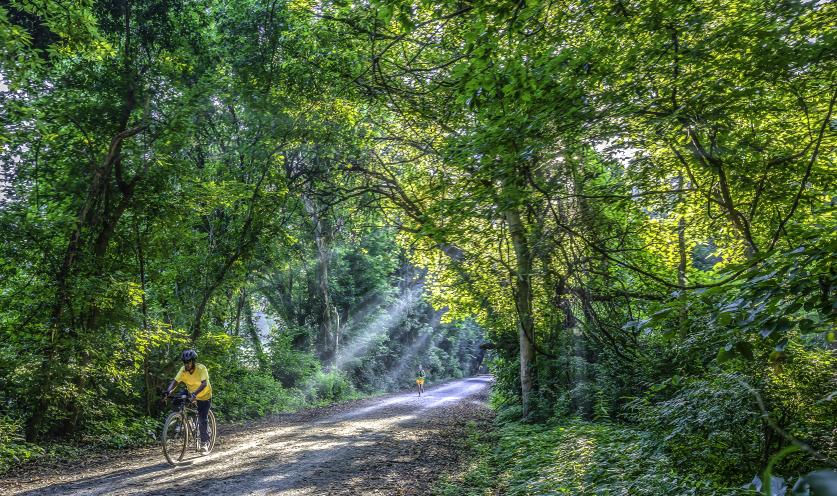 Early morning on Katy Trail near I-64 bridge, sunbeams-2 - 300 ppi.jpg Katy Trail