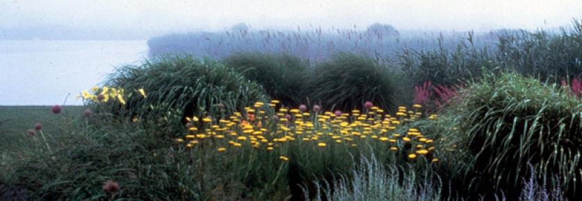 The New American Style Garden at the home of Alex and Carole Rosenberg in Water Mill, NY