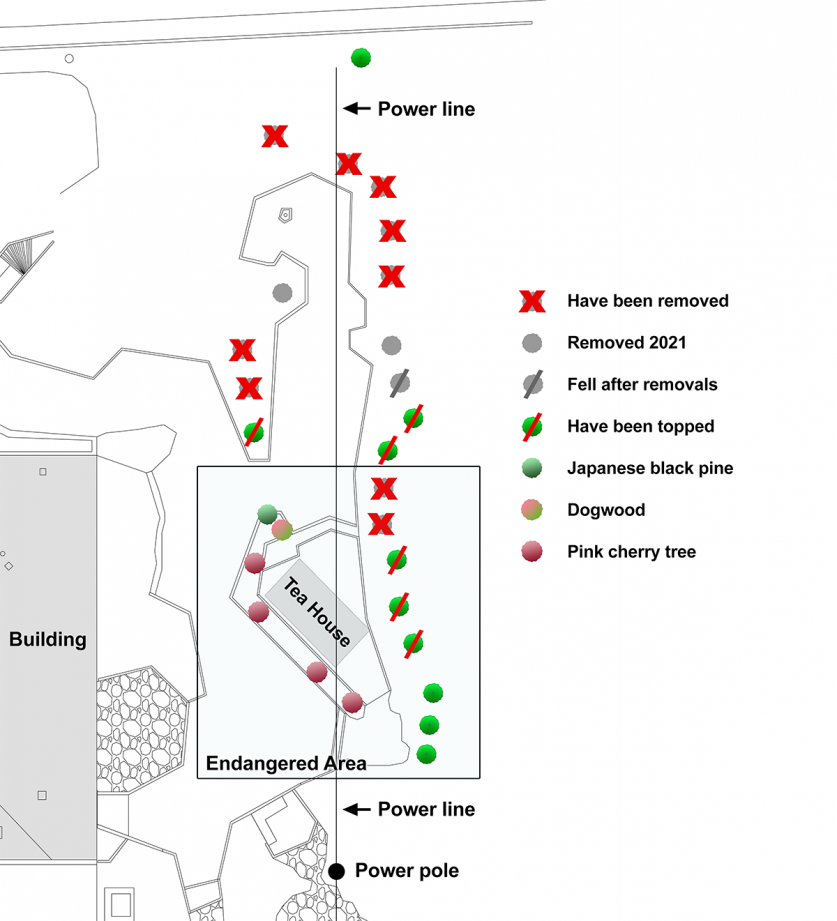 Graphic depicting tree removal and tree topping at Earthcam.