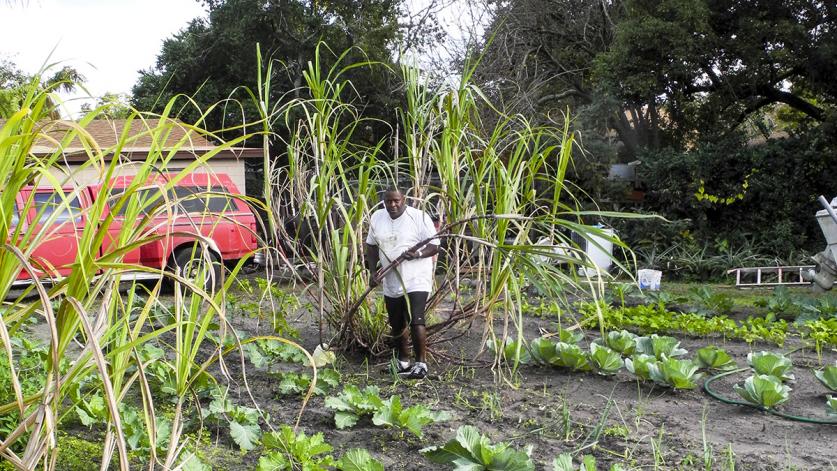 Eatonville_Florida_feature_EverettFly.jpg Ruford Shepherd in his garden in Eatonville, FL, one of the oldest incorporated (1887) Black towns in the U.S.