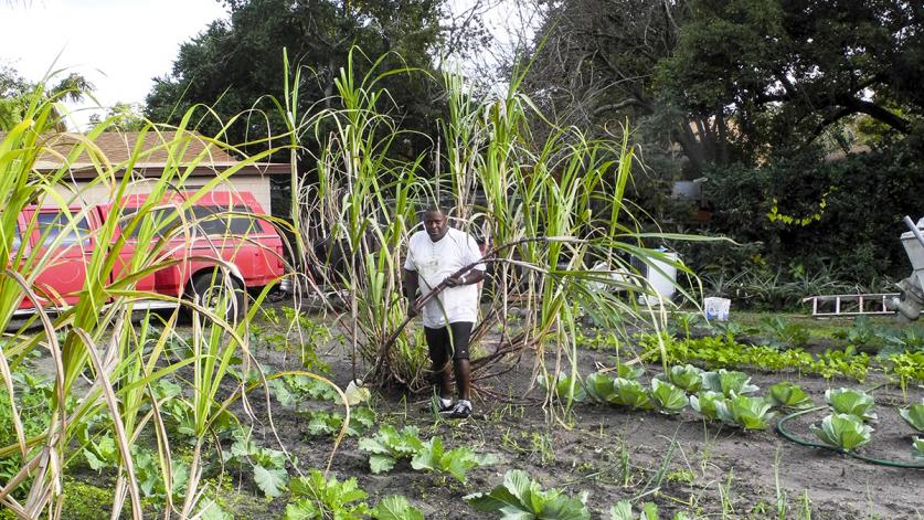 Ruford Shepherd in his garden in Eatonville, FL, one of the oldest incorporated (1887) Black towns in the U.S.