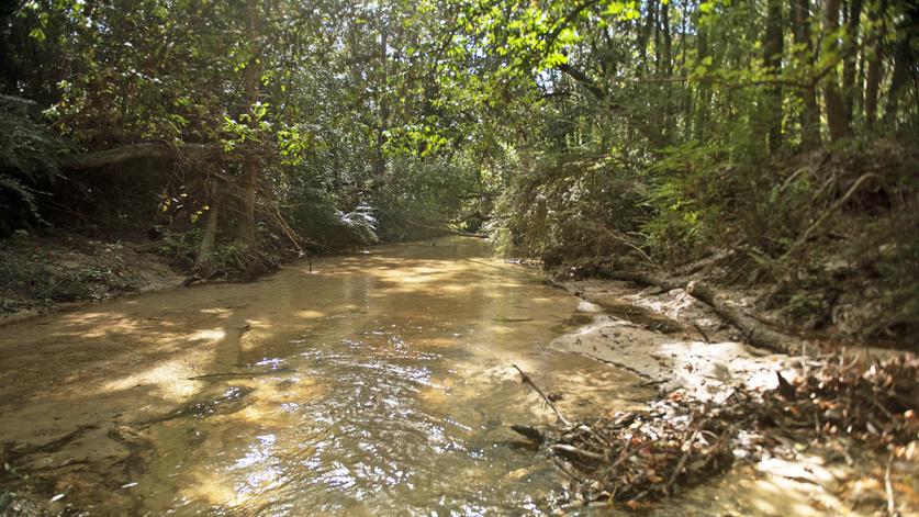 Carpenter Creek, Pensacola, FL