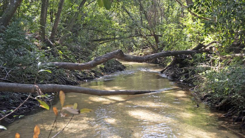 Carpenter Creek, Pensacola, FL