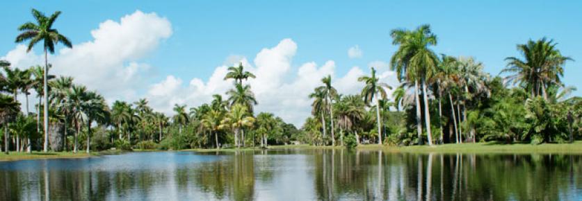 Fairchild Tropical Botanic Garden