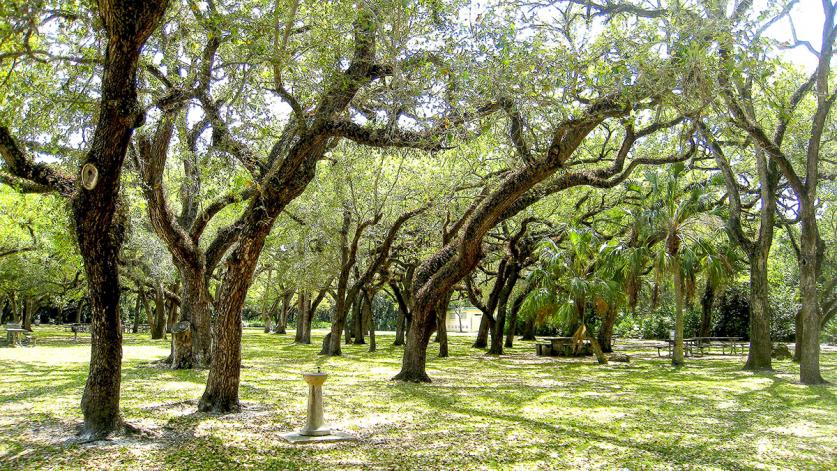 GreynoldsPark_feature_CourtesySaveGPCommittee_2014.jpg Greynolds Park, North Miami Beach, FL