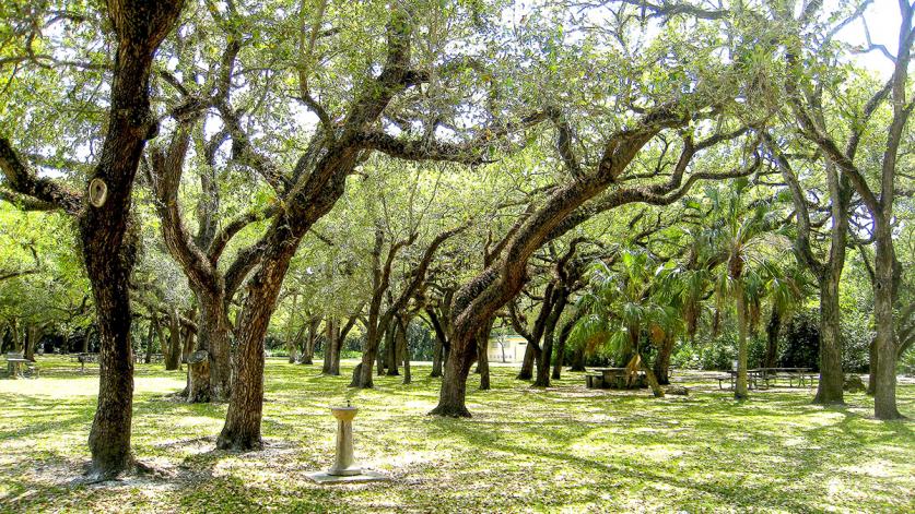 Greynolds Park, North Miami Beach, FL