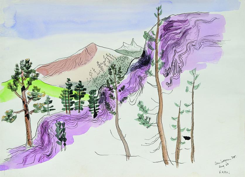 Halprin-Lawrence_drawing_LHALP100_courtesyEdCella.jpg One of the recently discovered Lawrence Halprin drawings "San Joaquin MT Aug 50"